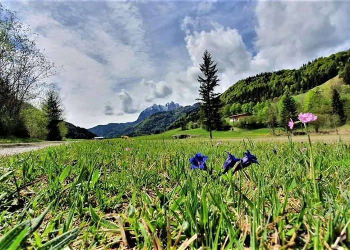 Haus Christl Am Horn 公寓 蒂罗的圣约翰